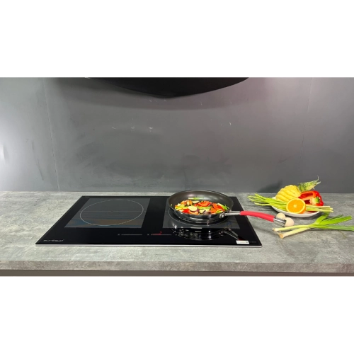 Bếp từ đôi Eurosun EU-T895GE