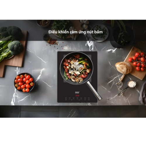 Bếp từ đơn Lorca TA 1017 PLUS