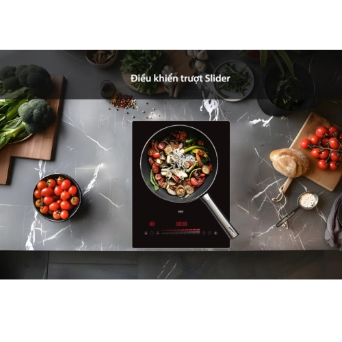 Bếp từ đơn Lorca TA-1018 PLUS