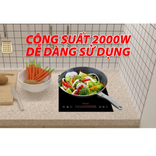 Bếp từ đơn Lorca TA-1018 PLUS