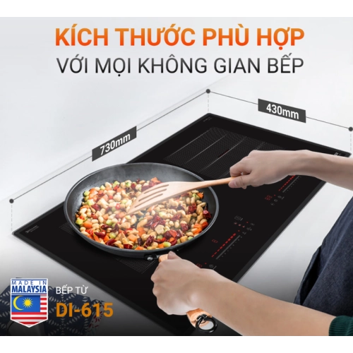 Bếp từ Kocher DI-615