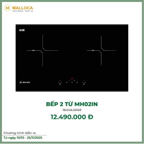 Bếp kính âm 2 từ MH-02I N