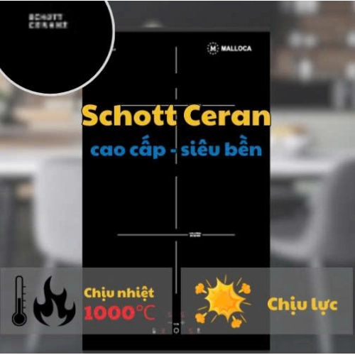 Bếp từ domino Malloca MDI 302