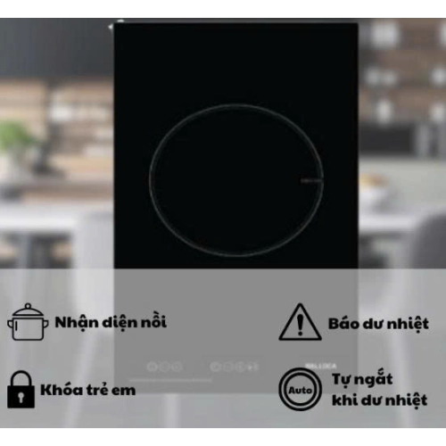 Bếp từ Malloca DC-3001