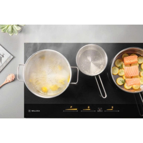 Bếp từ Malloca Skylux MH-803