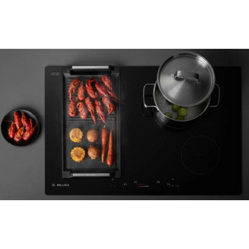 Bếp từ Malloca MH-04I BM