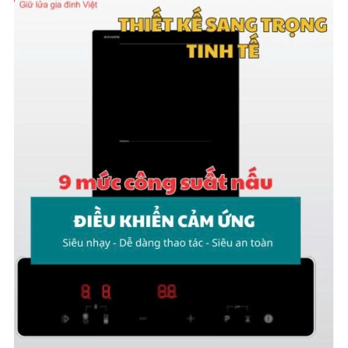 Bếp từ Malloca Domino MDI 302 FZ