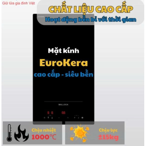 Bếp từ Malloca Domino MDI 302 FZ